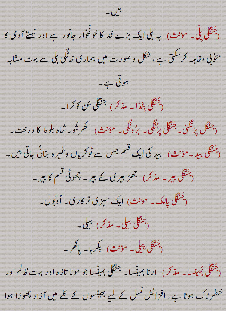   جنگلی ,,جنگل,جنگلی بوٹی,جنگلی انناس,جنگلی اخروٹ,جنگلی ادرک,جنگلی بدام,جنگلی بِلا,جنگلی بِلی,جنگلی بِنڈا,جنگل پڑنگنی,جنگلی پڑُنگی, برونگی,کھرشو,شاہ بلوط,جنگلی بید,جنگلی بیر,جنگلی پالک,جنگلی بیلی,جنگلی پِیلی,جنگلی بھینسا,جنگلی پکون,جنگلی پِیاز,جنگلی تلسی,جنگلی تماکو,جنگلی چنپا,جنگلی چنا,جنگلی چپھینڈ,,جنگلی چوہا,جنگلی چوکا,جنگلی دریاں,جنگلی ذات,جنگلی رس بھری,جنگلی سامک,جنگلی سرسوں,جنگلی سرن,جنگلی سن کوکرا, ککڑا,جنگلی سرو,جنگلی سور,جنگلی فرست,جنگلی کاں,جنگلی کبوت,جنگلی کبود,جنگلی کتس,جنگلی گوہا۔جنگلی کنڈَہ,جنگلی لہسن,جنگلی گھوڑا,جنگلی گاجر,جنگلی گلاب,جنگلی مانہ,جنگلی مولی,جنگلی مہندی،,جنگلی میتھی,جنگلی مرغ,جنگلیانی
, jaNgali, ਜੰਗਲੀ, ਜੰਗਲ਼ੀ, ਜਾਂਗਲ਼ੀ, jaNgali badaam, Terminalia catappa, jaNgali binDa, Hibiscus,jaNgal paRNgani, Quercus semecarpifolia, jaNgali gulaab, ਜੰਗਲ਼ੀ ਗੁਲਾਬ, jaNgali jaanwar, ਜੰਗਲ਼ੀ ਜਾਨਵਰ ,jaNgali batakh, ਜੰਗਲ਼ੀ ਬਤਖ਼, jaNgali booti, ਜੰਗਲ਼ੀ ਬੂਟੀ , Herb,weed, jaNgali goRa, Onager, Equus hemionus, hemione, Asiatic wild ass, jaNgali piyaaz, Erythronuim indicum, jaNgali pakoon, Hemidesmus Indicus, Indian sarsaparilla, jaNgali chaNba, Plumeria alba, jaNgali chooka, Oxalis acetosella,jaNgali duriyaaN, Cullenia ecelsa, jaNgali saroo, Ailanthus excelsa,jaNgali kaaN, Corvus cluminatus, Indian jungle crow, jaNgali kabood,Othis sarda, jaNgali murgh, Eurasian woodcock, Scolopax rusticola, jaNgali chhapeNd, Trichosanthes cucumerina, jaNgali gajar, chaerophyllum villosum, jaNgali moli, Plume nicracifolia, jaNgali mehNdi, Ammannia baccifera, jaNgali methi, Sida spinosa, prickly fanpetals,, 