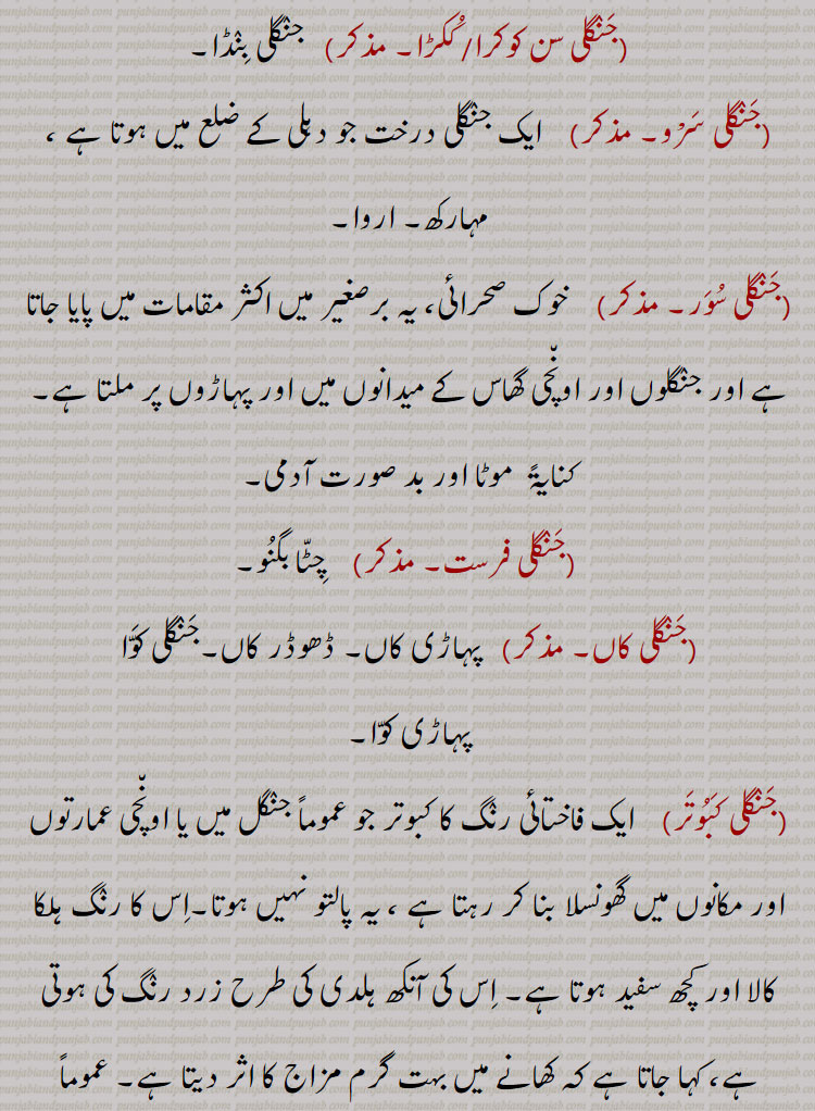   جنگلی ,,جنگل,جنگلی بوٹی,جنگلی انناس,جنگلی اخروٹ,جنگلی ادرک,جنگلی بدام,جنگلی بِلا,جنگلی بِلی,جنگلی بِنڈا,جنگل پڑنگنی,جنگلی پڑُنگی, برونگی,کھرشو,شاہ بلوط,جنگلی بید,جنگلی بیر,جنگلی پالک,جنگلی بیلی,جنگلی پِیلی,جنگلی بھینسا,جنگلی پکون,جنگلی پِیاز,جنگلی تلسی,جنگلی تماکو,جنگلی چنپا,جنگلی چنا,جنگلی چپھینڈ,,جنگلی چوہا,جنگلی چوکا,جنگلی دریاں,جنگلی ذات,جنگلی رس بھری,جنگلی سامک,جنگلی سرسوں,جنگلی سرن,جنگلی سن کوکرا, ککڑا,جنگلی سرو,جنگلی سور,جنگلی فرست,جنگلی کاں,جنگلی کبوت,جنگلی کبود,جنگلی کتس,جنگلی گوہا۔جنگلی کنڈَہ,جنگلی لہسن,جنگلی گھوڑا,جنگلی گاجر,جنگلی گلاب,جنگلی مانہ,جنگلی مولی,جنگلی مہندی،,جنگلی میتھی,جنگلی مرغ,جنگلیانی
, jaNgali, ਜੰਗਲੀ, ਜੰਗਲ਼ੀ, ਜਾਂਗਲ਼ੀ, jaNgali badaam, Terminalia catappa, jaNgali binDa, Hibiscus,jaNgal paRNgani, Quercus semecarpifolia, jaNgali gulaab, ਜੰਗਲ਼ੀ ਗੁਲਾਬ, jaNgali jaanwar, ਜੰਗਲ਼ੀ ਜਾਨਵਰ ,jaNgali batakh, ਜੰਗਲ਼ੀ ਬਤਖ਼, jaNgali booti, ਜੰਗਲ਼ੀ ਬੂਟੀ , Herb,weed, jaNgali goRa, Onager, Equus hemionus, hemione, Asiatic wild ass, jaNgali piyaaz, Erythronuim indicum, jaNgali pakoon, Hemidesmus Indicus, Indian sarsaparilla, jaNgali chaNba, Plumeria alba, jaNgali chooka, Oxalis acetosella,jaNgali duriyaaN, Cullenia ecelsa, jaNgali saroo, Ailanthus excelsa,jaNgali kaaN, Corvus cluminatus, Indian jungle crow, jaNgali kabood,Othis sarda, jaNgali murgh, Eurasian woodcock, Scolopax rusticola, jaNgali chhapeNd, Trichosanthes cucumerina, jaNgali gajar, chaerophyllum villosum, jaNgali moli, Plume nicracifolia, jaNgali mehNdi, Ammannia baccifera, jaNgali methi, Sida spinosa, prickly fanpetals,, 