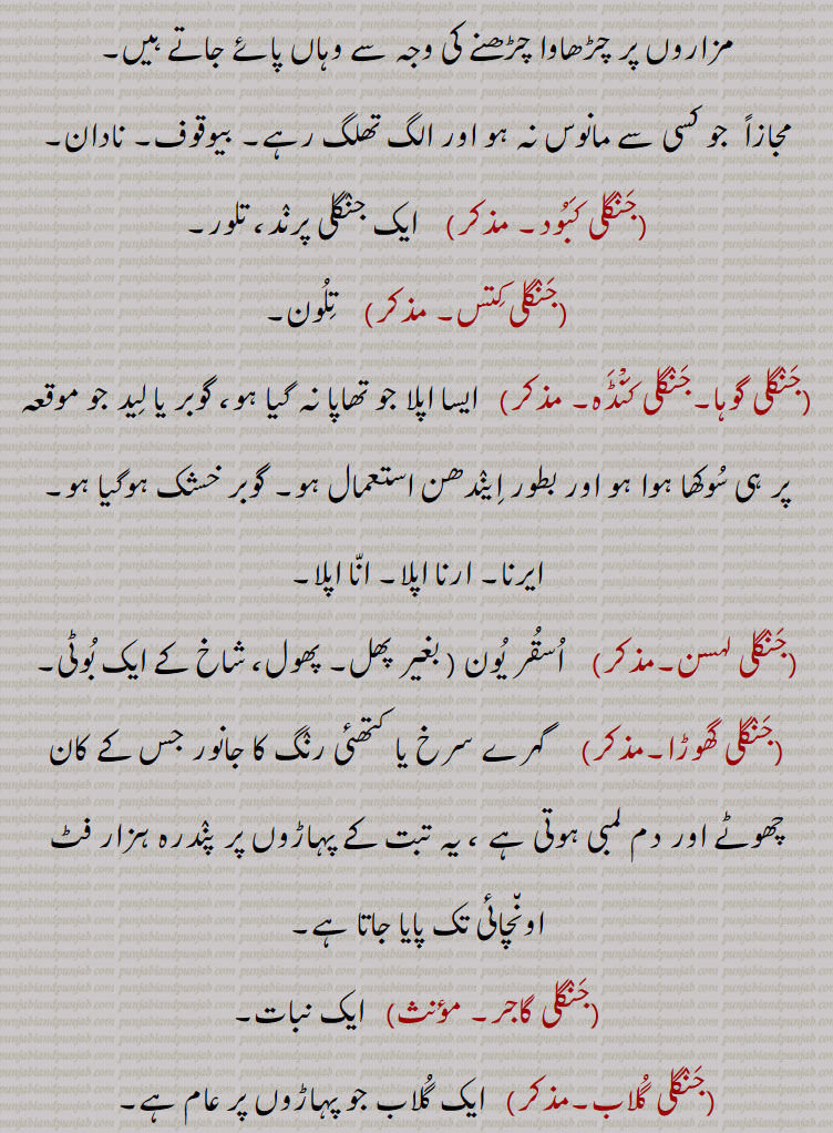   جنگلی ,,جنگل,جنگلی بوٹی,جنگلی انناس,جنگلی اخروٹ,جنگلی ادرک,جنگلی بدام,جنگلی بِلا,جنگلی بِلی,جنگلی بِنڈا,جنگل پڑنگنی,جنگلی پڑُنگی, برونگی,کھرشو,شاہ بلوط,جنگلی بید,جنگلی بیر,جنگلی پالک,جنگلی بیلی,جنگلی پِیلی,جنگلی بھینسا,جنگلی پکون,جنگلی پِیاز,جنگلی تلسی,جنگلی تماکو,جنگلی چنپا,جنگلی چنا,جنگلی چپھینڈ,,جنگلی چوہا,جنگلی چوکا,جنگلی دریاں,جنگلی ذات,جنگلی رس بھری,جنگلی سامک,جنگلی سرسوں,جنگلی سرن,جنگلی سن کوکرا, ککڑا,جنگلی سرو,جنگلی سور,جنگلی فرست,جنگلی کاں,جنگلی کبوت,جنگلی کبود,جنگلی کتس,جنگلی گوہا۔جنگلی کنڈَہ,جنگلی لہسن,جنگلی گھوڑا,جنگلی گاجر,جنگلی گلاب,جنگلی مانہ,جنگلی مولی,جنگلی مہندی،,جنگلی میتھی,جنگلی مرغ,جنگلیانی
, jaNgali, ਜੰਗਲੀ, ਜੰਗਲ਼ੀ, ਜਾਂਗਲ਼ੀ, jaNgali badaam, Terminalia catappa, jaNgali binDa, Hibiscus,jaNgal paRNgani, Quercus semecarpifolia, jaNgali gulaab, ਜੰਗਲ਼ੀ ਗੁਲਾਬ, jaNgali jaanwar, ਜੰਗਲ਼ੀ ਜਾਨਵਰ ,jaNgali batakh, ਜੰਗਲ਼ੀ ਬਤਖ਼, jaNgali booti, ਜੰਗਲ਼ੀ ਬੂਟੀ , Herb,weed, jaNgali goRa, Onager, Equus hemionus, hemione, Asiatic wild ass, jaNgali piyaaz, Erythronuim indicum, jaNgali pakoon, Hemidesmus Indicus, Indian sarsaparilla, jaNgali chaNba, Plumeria alba, jaNgali chooka, Oxalis acetosella,jaNgali duriyaaN, Cullenia ecelsa, jaNgali saroo, Ailanthus excelsa,jaNgali kaaN, Corvus cluminatus, Indian jungle crow, jaNgali kabood,Othis sarda, jaNgali murgh, Eurasian woodcock, Scolopax rusticola, jaNgali chhapeNd, Trichosanthes cucumerina, jaNgali gajar, chaerophyllum villosum, jaNgali moli, Plume nicracifolia, jaNgali mehNdi, Ammannia baccifera, jaNgali methi, Sida spinosa, prickly fanpetals,, 