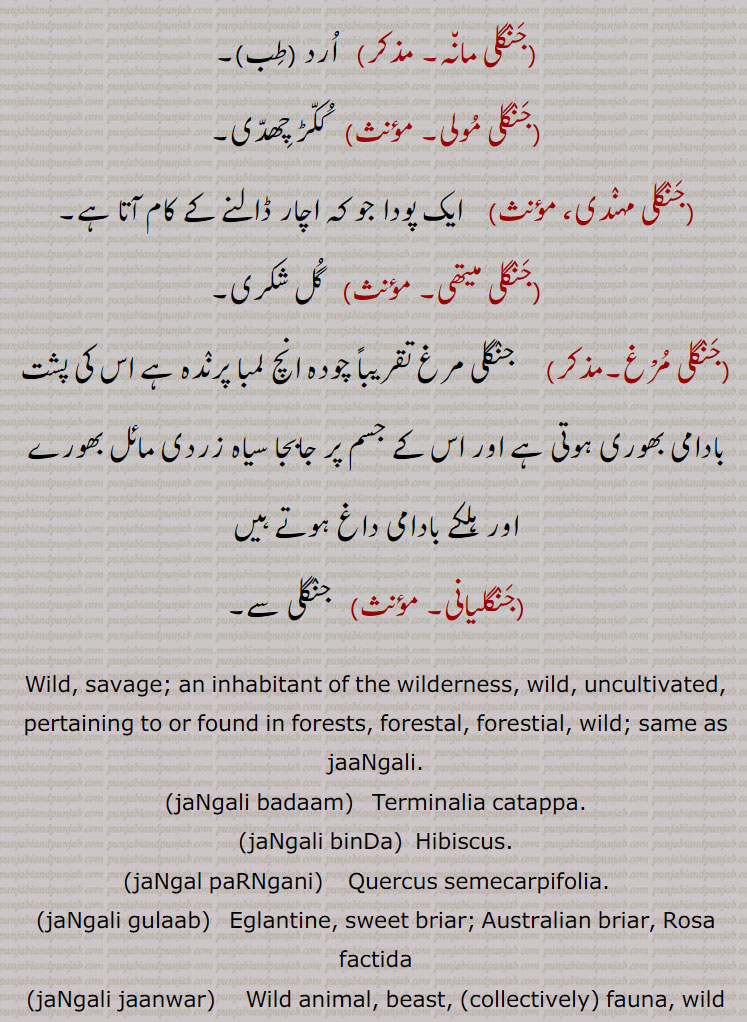   جنگلی ,,جنگل,جنگلی بوٹی,جنگلی انناس,جنگلی اخروٹ,جنگلی ادرک,جنگلی بدام,جنگلی بِلا,جنگلی بِلی,جنگلی بِنڈا,جنگل پڑنگنی,جنگلی پڑُنگی, برونگی,کھرشو,شاہ بلوط,جنگلی بید,جنگلی بیر,جنگلی پالک,جنگلی بیلی,جنگلی پِیلی,جنگلی بھینسا,جنگلی پکون,جنگلی پِیاز,جنگلی تلسی,جنگلی تماکو,جنگلی چنپا,جنگلی چنا,جنگلی چپھینڈ,,جنگلی چوہا,جنگلی چوکا,جنگلی دریاں,جنگلی ذات,جنگلی رس بھری,جنگلی سامک,جنگلی سرسوں,جنگلی سرن,جنگلی سن کوکرا, ککڑا,جنگلی سرو,جنگلی سور,جنگلی فرست,جنگلی کاں,جنگلی کبوت,جنگلی کبود,جنگلی کتس,جنگلی گوہا۔جنگلی کنڈَہ,جنگلی لہسن,جنگلی گھوڑا,جنگلی گاجر,جنگلی گلاب,جنگلی مانہ,جنگلی مولی,جنگلی مہندی،,جنگلی میتھی,جنگلی مرغ,جنگلیانی
, jaNgali, ਜੰਗਲੀ, ਜੰਗਲ਼ੀ, ਜਾਂਗਲ਼ੀ, jaNgali badaam, Terminalia catappa, jaNgali binDa, Hibiscus,jaNgal paRNgani, Quercus semecarpifolia, jaNgali gulaab, ਜੰਗਲ਼ੀ ਗੁਲਾਬ, jaNgali jaanwar, ਜੰਗਲ਼ੀ ਜਾਨਵਰ ,jaNgali batakh, ਜੰਗਲ਼ੀ ਬਤਖ਼, jaNgali booti, ਜੰਗਲ਼ੀ ਬੂਟੀ , Herb,weed, jaNgali goRa, Onager, Equus hemionus, hemione, Asiatic wild ass, jaNgali piyaaz, Erythronuim indicum, jaNgali pakoon, Hemidesmus Indicus, Indian sarsaparilla, jaNgali chaNba, Plumeria alba, jaNgali chooka, Oxalis acetosella,jaNgali duriyaaN, Cullenia ecelsa, jaNgali saroo, Ailanthus excelsa,jaNgali kaaN, Corvus cluminatus, Indian jungle crow, jaNgali kabood,Othis sarda, jaNgali murgh, Eurasian woodcock, Scolopax rusticola, jaNgali chhapeNd, Trichosanthes cucumerina, jaNgali gajar, chaerophyllum villosum, jaNgali moli, Plume nicracifolia, jaNgali mehNdi, Ammannia baccifera, jaNgali methi, Sida spinosa, prickly fanpetals,, 