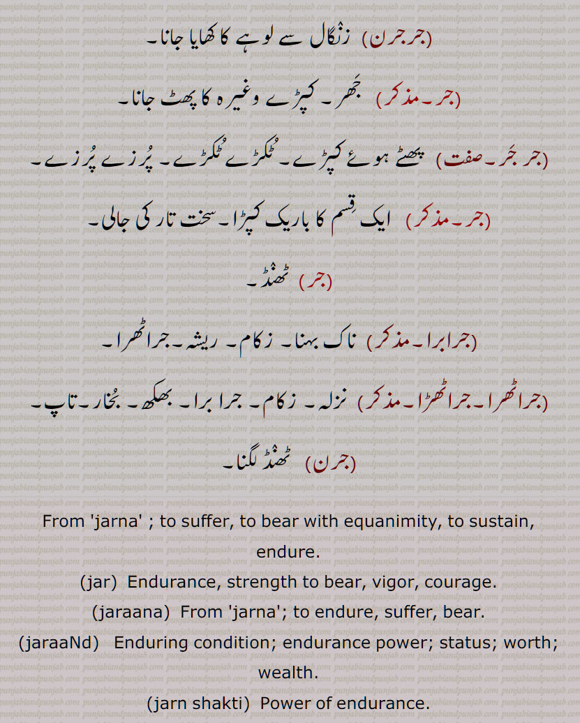   جر , جرنا سے,سہہ, برداشت کر, سہار,, جرانا,جران,جراون,جراند,جرن شکتی,جرنا,جریا,جریاں,جریند,جرن,جرے,جراں,جردا,جرساں,جر جانا,,جر کے,جر کے کھانا,جر لون,,جریجنا,جرنا,جراٹھا,جرانا,جراند,جرائے,جرلاون,جر جر,جرجرا,,جر,جر جیوکا,جرا,بڑھاپا, کھجور کے درخت کی ایک قسم,جرا آتر,جرا اوستھا,جرا مرا,جرادھی,جروآ,جروانا,جروانا,جری,جرٖیا,جروانا,جروانا,جروانہ,زور والا, بلوان,جسیم, تنومند,جراسندھ,جرکا,جرکا, زور, ہمت, حوصلہ,جرا,ذرا,تھوڑا,جرا جنا,جروٹھا,جری, ایٹم,جرے,جری,جری,سونے اور چاندی کی تار,جری بادلا,میرے یار دی جری جری,جروان,مذکر,قبرستان,جراند,جراح,سرجن,جراحی,جراریوں,  جرارہ, عقرب برج, زنگ,جرجرن,جر,جر جر, ایک قسم کا باریک کپڑا,,  ٹھنڈ,جرابرا, ناک بہنا, زکام, ,جراٹھرا,جراٹھڑا, بخار,تاپ,جرن, ٹھنڈ لگنا, From 'jarna' ; to suffer, to bear with equanimity, to sustain, endure.,jar,jaraana,jaraaNd,jarn shakti, jarna,jariya,jariyaaN,jaran,jar jaana,jar ke,,jar ke  khhaana,jar lawan,jareejna,jarna,,  To burn, to rot,jaraana,,jaraand,jaraay,jarlaawan,jar,  Old age,  jariya, jarjeewaka,jara, Frailty or weakness due to aging; also a demon; a type of palm tree,jara aatur,jara aawastha,jara mura,jaraadhi,   Disease of aging.,jarwa,jaraana,jari,jirwaan, jiraand, Cemetery, graveyard,,jaraah, Surgeon,jaraahi,jaraarioN,  Scorpio (astrological sign),jar,  Rust, , gold ,,jarjaran,jar,  Tear or rip in cloth,jar,jar jar,jar jara,  A little, ,jara,zara,jara jara, jara jara kar ke,jara koo jara si,jara di jara,jara bhar),jari,  An atom,,jara jinna,jara bara,jirna, jaran,jara siNdh,jarwaana, jarwaani, powerful,jara siNdh,  The name of a fabled king,,jari,jari baadla,Gold and silver thread,mere yaar di jari jari),jar, ਜਰਵਾਣਾ, ਜਰ , Mimusops Kauki ,ਜਰਾ,ਜਰਾਹ,ਜਰਾਹੀ,ਜਰਨਾ,  ਜਰਵਾਣੀ , ਜਡ਼ਯਾਂ ,ਜਰੀ 
  