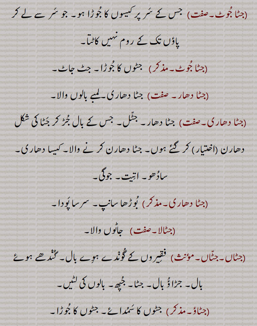 ,جٹ, جاٹ, جٹ دھار, جٹ دھار, جٹ دھاری, جٹا, جٹاں دی پاگ,جٹا جوٹ,جٹا دھاری,جٹالا,جٹاں, جٹاں, جٹاؤ, جٹوآ, جٹی, جٹل, جٹوری, ست,زط,ڄٹ,جاٹ,جٹ باد,جٹ بادھ,جٹ بوٹ,ڄٹ بھتان,جٹ بھٹان,جٹ پڽا,جٹ جپھا,جٹ جپھی,جٹ جٹالی,جٹ جٹالیاں,جٹ سوٹا مارنا,جٹ گنوار,جٹ وادھ۔ جٹ واہد,جٹ ودیا,جٹ بِدیا,جٹ بہڑ,جٹ وہڑ, جٹ ویڑ, جٹ ویہڑ,جٹا,جٹا تَر,جٹاں,جٹٹڑا,جٹاکا,جٹکا,جٹاکا,ڄٹکا,ڄٹاکا,جٹکا حساب,جٹکا نسخہ,جٹکڑی,جٹکی,جٹکے تندر,جٹکی کٹ کی,جٹل,جٹنی,جٹوکی,جٹونگڑا,جٹؤ,جٹی,جٹیٹ,جٹیٹ,جٹیٹا۔جٹیٹڑا,جٹیٹا۔جٹیٹڑا,جٹیٹی, جٹیٹڑی, jat,ਜਟ, jatt,jaat, ਜੱਟ, jaTki, kaT ki, jaTki, ਜਟਕੀ, jaTeTa, ਜਟੇਟਾ, jaTeTi, ਜਟੇਟੀ, jaTka, ਜਟਕਾ, jaTT booT,  jaTT bahiR, jaTT wahiR, wahaR, jaTT waahad, jaTT waadh, jaTT biddia, widdia, jaTTi, jaTooNgaRa, jaTooriaN, jaTT jappha, jaTbhutaan, jaTbhutaan, jaTaaka, jaTka, jaTooNgaRa, jaaT, ਜਾਟ ,jatoori ,ਜਟੂਰੀ, jaturian, ਜਟੂਰੀਆਂ , jataa joot, jataa dhari,  ਜਟਾ ਜੂਟ,  ਧਾਰੀ ਜਟਾ ,jata,  ਜਟਾ ,jataaN,  ਜਟਾਂ , jatal, jatil,  ਜਟਲ , ਜਟਿਲ, jatka,  ਜਟਕਾ, jatka hisaab, ਜਟਕਾ ਹਿਸਾਬ, jatka nuskha, ਜਟਕਾ ਨੁਸਖ਼ਾ, jataaka, ਜਤਾਕਾ, jaToorian, ਜਟੂਰੀਆਂ, jaTooRi, ਜਟੂਰੀ, jaTooNgaRa, ਜਟੂੰਗਡ਼ਾ, jaTTi, ਜੱਟੀ,,name of tribe, ایک ,ذات, جاہل, سادہ۔, بال, caste, 