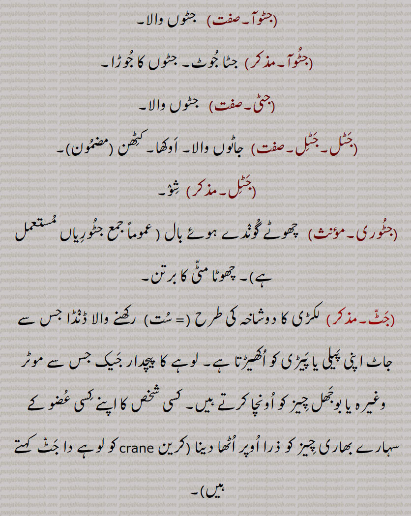 ,جٹ, جاٹ, جٹ دھار, جٹ دھار, جٹ دھاری, جٹا, جٹاں دی پاگ,جٹا جوٹ,جٹا دھاری,جٹالا,جٹاں, جٹاں, جٹاؤ, جٹوآ, جٹی, جٹل, جٹوری, ست,زط,ڄٹ,جاٹ,جٹ باد,جٹ بادھ,جٹ بوٹ,ڄٹ بھتان,جٹ بھٹان,جٹ پڽا,جٹ جپھا,جٹ جپھی,جٹ جٹالی,جٹ جٹالیاں,جٹ سوٹا مارنا,جٹ گنوار,جٹ وادھ۔ جٹ واہد,جٹ ودیا,جٹ بِدیا,جٹ بہڑ,جٹ وہڑ, جٹ ویڑ, جٹ ویہڑ,جٹا,جٹا تَر,جٹاں,جٹٹڑا,جٹاکا,جٹکا,جٹاکا,ڄٹکا,ڄٹاکا,جٹکا حساب,جٹکا نسخہ,جٹکڑی,جٹکی,جٹکے تندر,جٹکی کٹ کی,جٹل,جٹنی,جٹوکی,جٹونگڑا,جٹؤ,جٹی,جٹیٹ,جٹیٹ,جٹیٹا۔جٹیٹڑا,جٹیٹا۔جٹیٹڑا,جٹیٹی, جٹیٹڑی, jat,ਜਟ, jatt,jaat, ਜੱਟ, jaTki, kaT ki, jaTki, ਜਟਕੀ, jaTeTa, ਜਟੇਟਾ, jaTeTi, ਜਟੇਟੀ, jaTka, ਜਟਕਾ, jaTT booT,  jaTT bahiR, jaTT wahiR, wahaR, jaTT waahad, jaTT waadh, jaTT biddia, widdia, jaTTi, jaTooNgaRa, jaTooriaN, jaTT jappha, jaTbhutaan, jaTbhutaan, jaTaaka, jaTka, jaTooNgaRa, jaaT, ਜਾਟ ,jatoori ,ਜਟੂਰੀ, jaturian, ਜਟੂਰੀਆਂ , jataa joot, jataa dhari,  ਜਟਾ ਜੂਟ,  ਧਾਰੀ ਜਟਾ ,jata,  ਜਟਾ ,jataaN,  ਜਟਾਂ , jatal, jatil,  ਜਟਲ , ਜਟਿਲ, jatka,  ਜਟਕਾ, jatka hisaab, ਜਟਕਾ ਹਿਸਾਬ, jatka nuskha, ਜਟਕਾ ਨੁਸਖ਼ਾ, jataaka, ਜਤਾਕਾ, jaToorian, ਜਟੂਰੀਆਂ, jaTooRi, ਜਟੂਰੀ, jaTooNgaRa, ਜਟੂੰਗਡ਼ਾ, jaTTi, ਜੱਟੀ,,name of tribe, ایک ,ذات, جاہل, سادہ۔, بال, caste, 