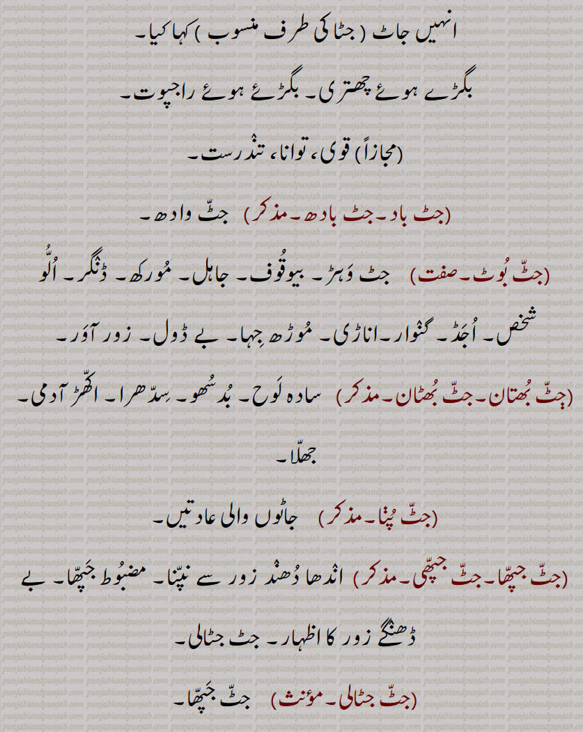 ,جٹ, جاٹ, جٹ دھار, جٹ دھار, جٹ دھاری, جٹا, جٹاں دی پاگ,جٹا جوٹ,جٹا دھاری,جٹالا,جٹاں, جٹاں, جٹاؤ, جٹوآ, جٹی, جٹل, جٹوری, ست,زط,ڄٹ,جاٹ,جٹ باد,جٹ بادھ,جٹ بوٹ,ڄٹ بھتان,جٹ بھٹان,جٹ پڽا,جٹ جپھا,جٹ جپھی,جٹ جٹالی,جٹ جٹالیاں,جٹ سوٹا مارنا,جٹ گنوار,جٹ وادھ۔ جٹ واہد,جٹ ودیا,جٹ بِدیا,جٹ بہڑ,جٹ وہڑ, جٹ ویڑ, جٹ ویہڑ,جٹا,جٹا تَر,جٹاں,جٹٹڑا,جٹاکا,جٹکا,جٹاکا,ڄٹکا,ڄٹاکا,جٹکا حساب,جٹکا نسخہ,جٹکڑی,جٹکی,جٹکے تندر,جٹکی کٹ کی,جٹل,جٹنی,جٹوکی,جٹونگڑا,جٹؤ,جٹی,جٹیٹ,جٹیٹ,جٹیٹا۔جٹیٹڑا,جٹیٹا۔جٹیٹڑا,جٹیٹی, جٹیٹڑی, jat,ਜਟ, jatt,jaat, ਜੱਟ, jaTki, kaT ki, jaTki, ਜਟਕੀ, jaTeTa, ਜਟੇਟਾ, jaTeTi, ਜਟੇਟੀ, jaTka, ਜਟਕਾ, jaTT booT,  jaTT bahiR, jaTT wahiR, wahaR, jaTT waahad, jaTT waadh, jaTT biddia, widdia, jaTTi, jaTooNgaRa, jaTooriaN, jaTT jappha, jaTbhutaan, jaTbhutaan, jaTaaka, jaTka, jaTooNgaRa, jaaT, ਜਾਟ ,jatoori ,ਜਟੂਰੀ, jaturian, ਜਟੂਰੀਆਂ , jataa joot, jataa dhari,  ਜਟਾ ਜੂਟ,  ਧਾਰੀ ਜਟਾ ,jata,  ਜਟਾ ,jataaN,  ਜਟਾਂ , jatal, jatil,  ਜਟਲ , ਜਟਿਲ, jatka,  ਜਟਕਾ, jatka hisaab, ਜਟਕਾ ਹਿਸਾਬ, jatka nuskha, ਜਟਕਾ ਨੁਸਖ਼ਾ, jataaka, ਜਤਾਕਾ, jaToorian, ਜਟੂਰੀਆਂ, jaTooRi, ਜਟੂਰੀ, jaTooNgaRa, ਜਟੂੰਗਡ਼ਾ, jaTTi, ਜੱਟੀ,,name of tribe, ایک ,ذات, جاہل, سادہ۔, بال, caste, 