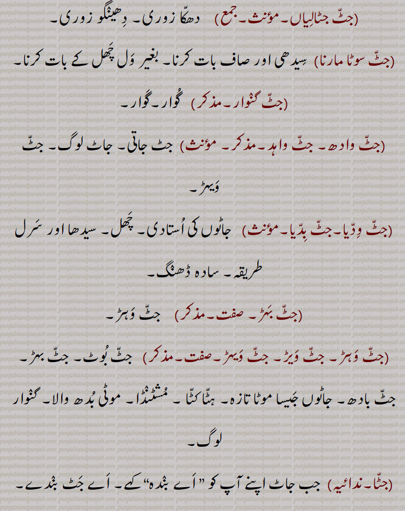 ,جٹ, جاٹ, جٹ دھار, جٹ دھار, جٹ دھاری, جٹا, جٹاں دی پاگ,جٹا جوٹ,جٹا دھاری,جٹالا,جٹاں, جٹاں, جٹاؤ, جٹوآ, جٹی, جٹل, جٹوری, ست,زط,ڄٹ,جاٹ,جٹ باد,جٹ بادھ,جٹ بوٹ,ڄٹ بھتان,جٹ بھٹان,جٹ پڽا,جٹ جپھا,جٹ جپھی,جٹ جٹالی,جٹ جٹالیاں,جٹ سوٹا مارنا,جٹ گنوار,جٹ وادھ۔ جٹ واہد,جٹ ودیا,جٹ بِدیا,جٹ بہڑ,جٹ وہڑ, جٹ ویڑ, جٹ ویہڑ,جٹا,جٹا تَر,جٹاں,جٹٹڑا,جٹاکا,جٹکا,جٹاکا,ڄٹکا,ڄٹاکا,جٹکا حساب,جٹکا نسخہ,جٹکڑی,جٹکی,جٹکے تندر,جٹکی کٹ کی,جٹل,جٹنی,جٹوکی,جٹونگڑا,جٹؤ,جٹی,جٹیٹ,جٹیٹ,جٹیٹا۔جٹیٹڑا,جٹیٹا۔جٹیٹڑا,جٹیٹی, جٹیٹڑی, jat,ਜਟ, jatt,jaat, ਜੱਟ, jaTki, kaT ki, jaTki, ਜਟਕੀ, jaTeTa, ਜਟੇਟਾ, jaTeTi, ਜਟੇਟੀ, jaTka, ਜਟਕਾ, jaTT booT,  jaTT bahiR, jaTT wahiR, wahaR, jaTT waahad, jaTT waadh, jaTT biddia, widdia, jaTTi, jaTooNgaRa, jaTooriaN, jaTT jappha, jaTbhutaan, jaTbhutaan, jaTaaka, jaTka, jaTooNgaRa, jaaT, ਜਾਟ ,jatoori ,ਜਟੂਰੀ, jaturian, ਜਟੂਰੀਆਂ , jataa joot, jataa dhari,  ਜਟਾ ਜੂਟ,  ਧਾਰੀ ਜਟਾ ,jata,  ਜਟਾ ,jataaN,  ਜਟਾਂ , jatal, jatil,  ਜਟਲ , ਜਟਿਲ, jatka,  ਜਟਕਾ, jatka hisaab, ਜਟਕਾ ਹਿਸਾਬ, jatka nuskha, ਜਟਕਾ ਨੁਸਖ਼ਾ, jataaka, ਜਤਾਕਾ, jaToorian, ਜਟੂਰੀਆਂ, jaTooRi, ਜਟੂਰੀ, jaTooNgaRa, ਜਟੂੰਗਡ਼ਾ, jaTTi, ਜੱਟੀ,,name of tribe, ایک ,ذات, جاہل, سادہ۔, بال, caste, 