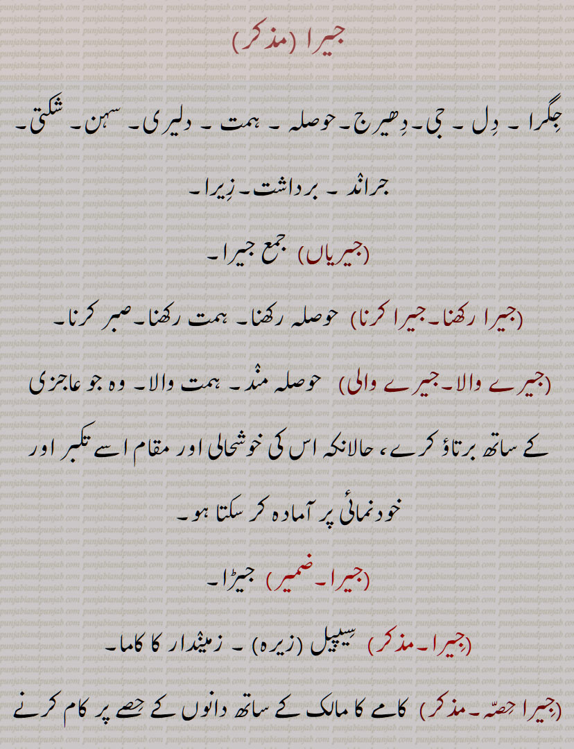 جیریاں, ਜੀਰੀਆਂ ,ਸੀਪੀਲ,سیپیل, جیرا ,حوصلہ , ہمت ،جیرا رکھنا,جیرا کرنا,جیرے والا,جیرے والی,جِیرا,سِیپیل,زمینٛدار کا کاما,جِیرا حصہ, لوہار کا شکنجہ,courage, spirit, bravery,jerawaala, jerawaali, jigra, jeera, zeera, Cummin seed, Cuminum officinale, jarah, jirha, jera,ਜੇਰਾ, ਜਿਰਾ, jira, ਜੀਰਾ, ਸੀਪੀਲ, سیپیل  ,seepel