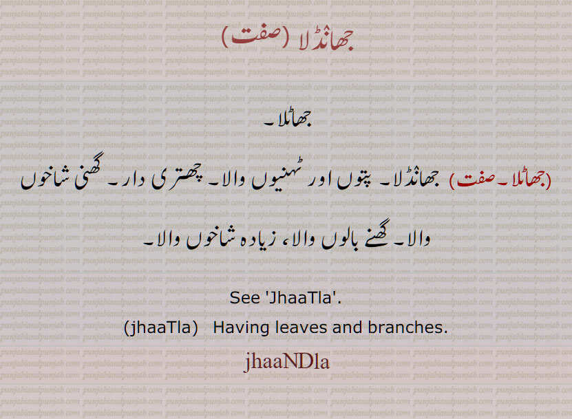 جھانڈلا , جھاٹلا,شاخوں والا, JhaaTla, jhaandla, ਝਾਂਡਲਾ, ਝਾਟਲਾ, jhatla,  jhandla,  jhaatla, having leaves and branches. 