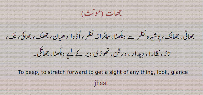 جھاتی , جھات طائرانہ نظر, دھیان, جھلک, جھانک, دیدار, to peep, glance, jhaat, jhat, jhaati,ਝਾਤੀ,ਝਾਤ,