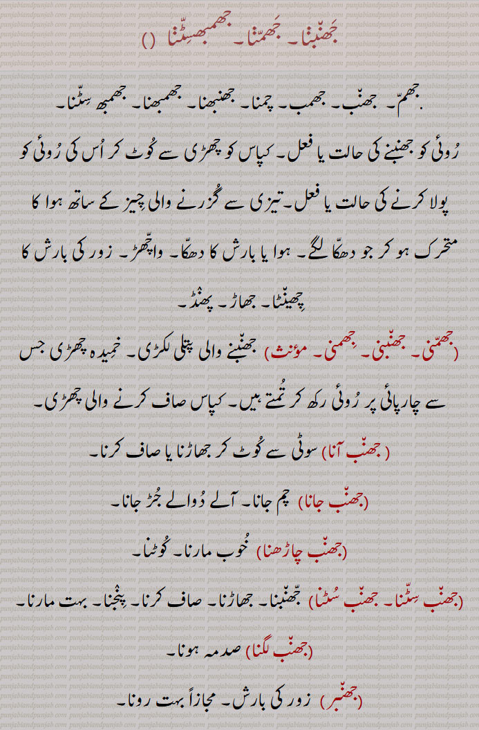 ،جھنب آنا, جھنب جانا, جھنبنا, جھمنا,جھمنی ,جھنبنی,جھمنی,جھاڑ, پھنڈ, جھنب چاڑھنا,جھنب سٹنا,جھنب لگنا,جھنبر,جھنبراں لاون,جھنبے,جھمبن جھنبنا,جھمنا,جھم جھم، جھمبیر, جھمبھائی, جھنب جانا, جھنب آنا, جھنبنی, جھمنی, جھمب, چمنا,پنجنا, جھمب, چمنا, روئی کو پولا کرنا, واچھڑ, خمیدہ چھڑی,خوب مارنا, جھاڑنا, صاف کرنا, صدمہ ہونا, زور کی بارش, جھمر, مارے کٹے, مارنا, کمالانا, چھڑی, دبوچنا, روئی جھمبنے کی ,مزدوری, زود کوب,پٹائی, جھر جھر, ہولی ہولی, پولے پولے,جھمنی, جھمبھو مارنا,
  , ਝੰਭਣਾ, jhambhna, jhanbhna, Jhammna,  Jhanbna,  ਝੰਬਣਾ,  ਝੰਭਸਿਟੱਣਾ,  jhambhsittna,  storm of wind, to fell, jhamban. to beat, to kill, to card cotton. to train. to press down.