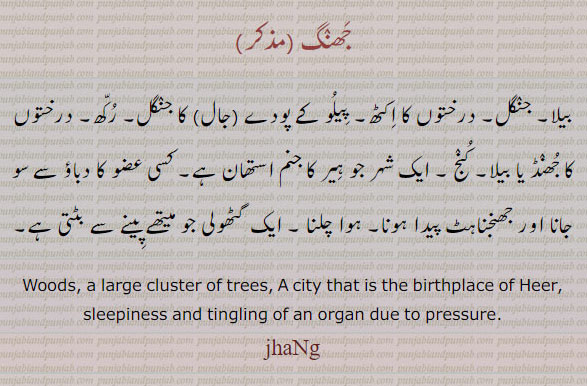,جھنگ, jhang, woods, city name, large cluster of trees,, ਝੰਗ,بیلا,جنگل,جھنڈ,