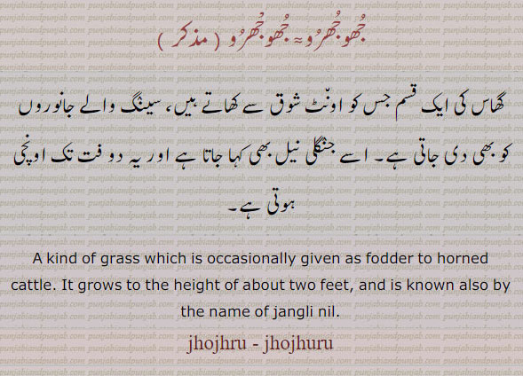 جھوجھرو ,jhoj,ਝੌਜ,jhujna,jhujhna,ਝੂਝਣਾ,jhojaR,ਝੋਜਡ਼,