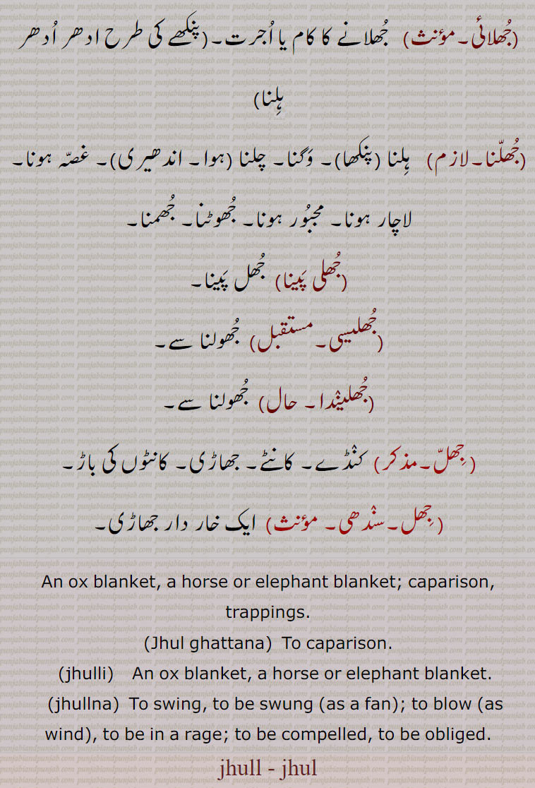  ,jhull , jhul, ਝੁੱਲ,ਝੁਲ ,jhullna, ਝੁੱਲਣਾ, jhullna,  ਝੁੱਲਣਾ ,جھلّ,جھل پینا, جھلانا, جھلانی,جھلنا, جھلی پینا, جھلیسی,جِھل, جھِلّ جھل, جُھل، جھل گھتنا, جھلی,   jhulli, jhul ghattnana. jhil, jhill, jhili, jhulaisi. juli paina, jhulana,
