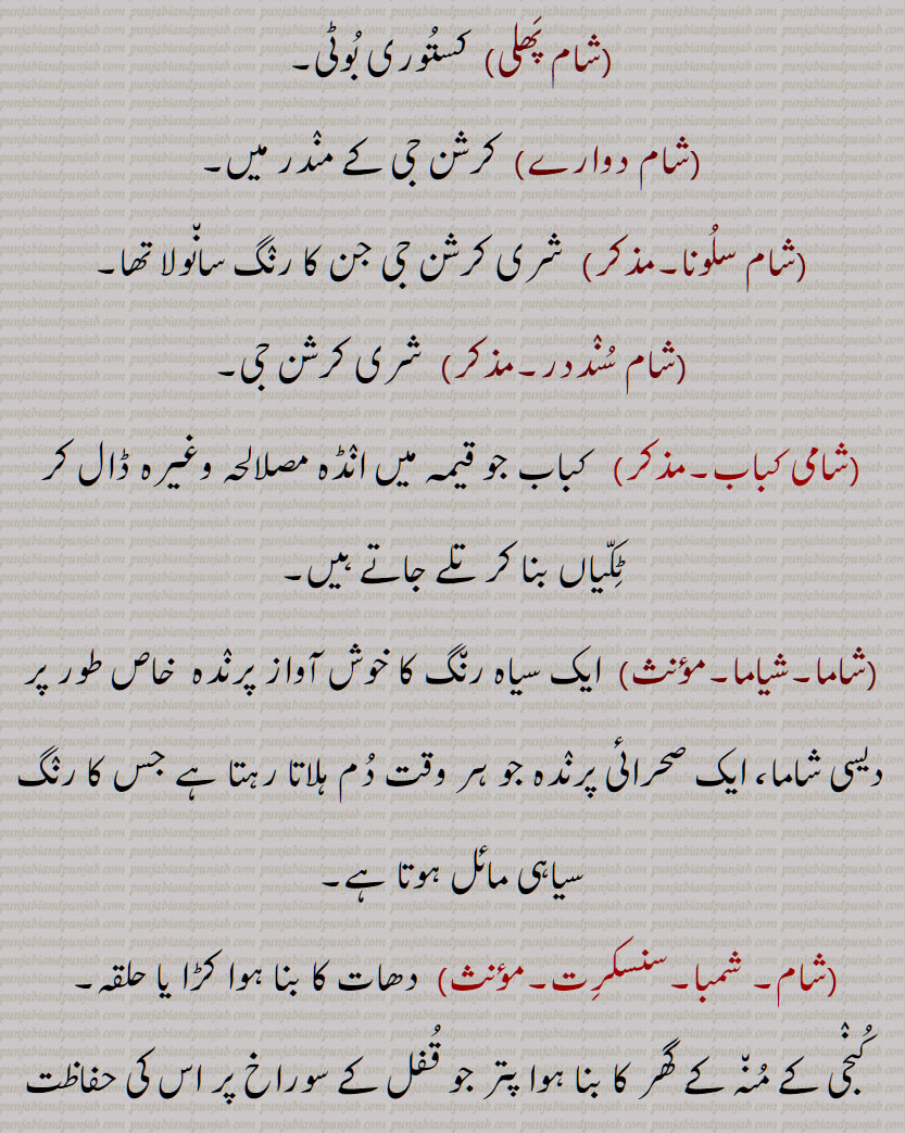  شام,  سورج غروب ہونے كا وقت, مغرب كا وقت, ترکالاں, سوٹی کے نچلے سرے, برا وقت, كثرت ,تعینات مظاہرین,شام دی نماز,شام غریباں,شاماں ویلا,شام کلیان,شام وید, شام بید,شام ویلا, دوپڑ ملنے کا وقت,شامی, شامیں,شام ورن کا,شاما,شمع, لیمپ,شمادان,شیام,  كالا,رادھے شام,محبوب,شام کرن, کالے کانوں والا گھوڑا,شام پھلی,کستوری بوٹی,شام دوارے,شام سلونا,شام سنددر,شامی کباب,شاما,شیاما, شمبا , سونگھنے والا,شاما, شامہ, Evening; one of the name of Krishna; Dark coloured black,shaam kalyaan,shaam wed, shaam bed,shaama, shama,A lamp, ,shamaadaan,A candlestick, a lamp stand, shaam, shaam phali, Delphinium brunonianum, shaam, shaam wed, sham bed,  shaama, shama daan,candlestick, a lamp stand, ਸ਼ਾਮ, ਸ਼ਮਾ,