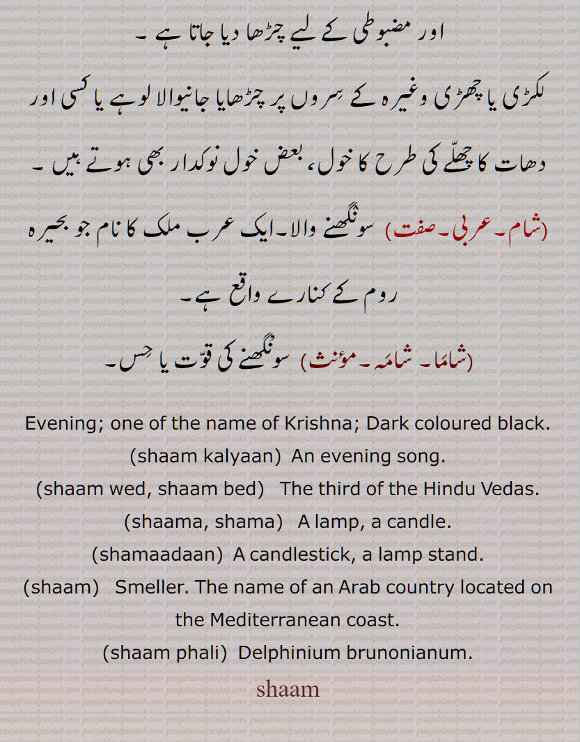 Evening; one of the name of Krishna; Dark coloured black,shaam kalyaan,shaam wed, shaam bed,shaama, shama,A lamp, ,shamaadaan,A candlestick, a lamp stand, shaam, shaam phali, Delphinium brunonianum, shaam, shaam wed, sham bed,  shaama, shama daan,candlestick, a lamp stand, ਸ਼ਾਮ, ਸ਼ਮਾ,