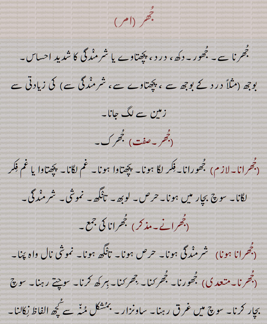 جھر ,جُھر ,جھرنا سے, جھور,دکھ، درد، پچھتاوے یا شرمندگی کا شدید احساس, جھرک,جھرانا,جھرانے,جھرانا ہونا,جھرنا,جھرنا جھکھنا,جھر جھکھ آنا,جھروانا,جھریماں, جھریوا, جھریواں,جھریا,جھر,جھرک,جھرکانا,جھرکنا,جھرا,جھور,A profound feeling of sorrow, pain, regret, or shame,Jhurna, jhur, jhir, ਝੁਰ, ਝੁਰਨਾ, ਝੂਰਨਾ , Jhuran, to pine away with grief,