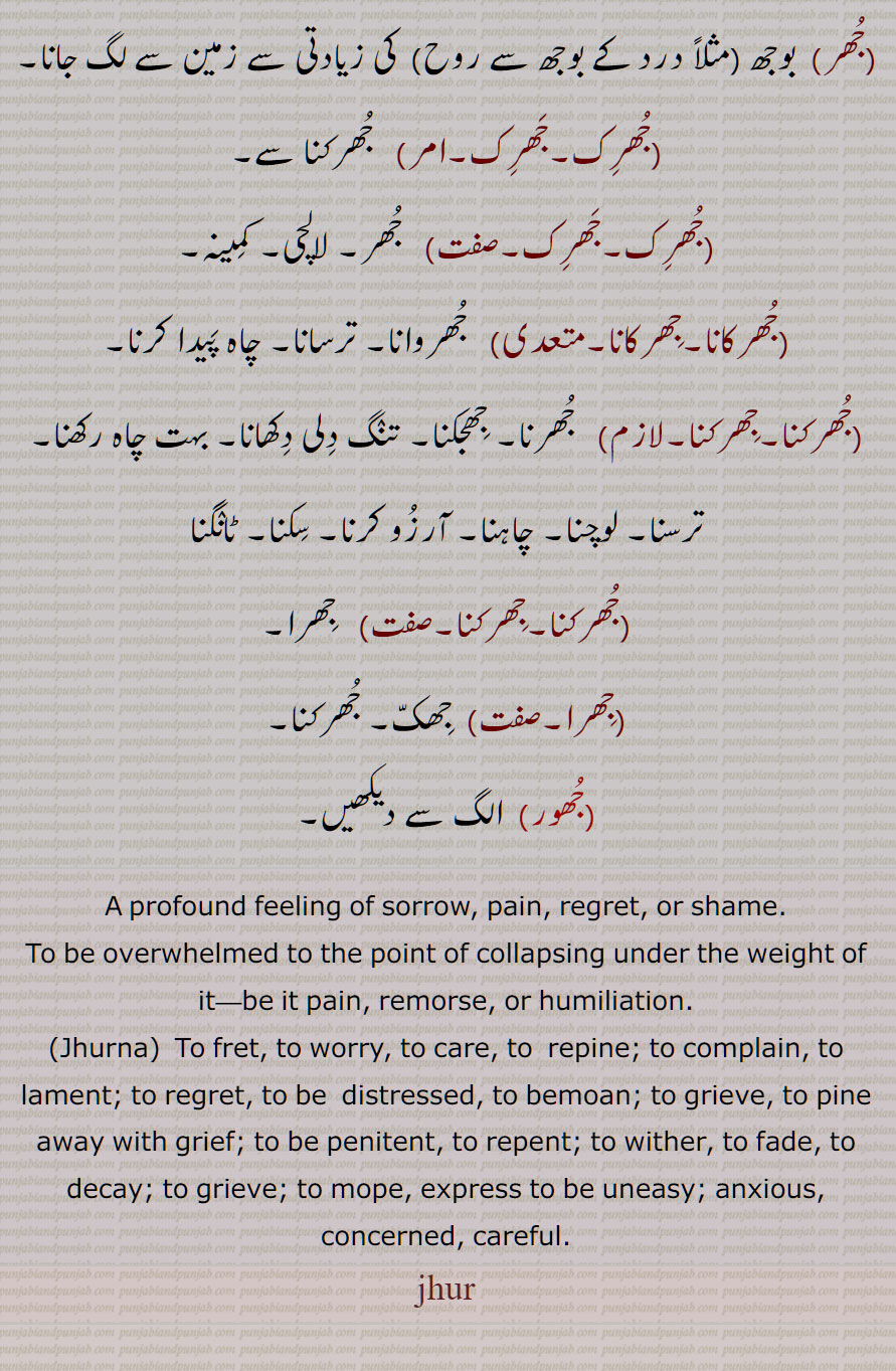 جھر ,جُھر ,جھرنا سے, جھور,دکھ، درد، پچھتاوے یا شرمندگی کا شدید احساس, جھرک,جھرانا,جھرانے,جھرانا ہونا,جھرنا,جھرنا جھکھنا,جھر جھکھ آنا,جھروانا,جھریماں, جھریوا, جھریواں,جھریا,جھر,جھرک,جھرکانا,جھرکنا,جھرا,جھور,A profound feeling of sorrow, pain, regret, or shame,Jhurna, jhur, jhir, ਝੁਰ, ਝੁਰਨਾ, ਝੂਰਨਾ , Jhuran, to pine away with grief,