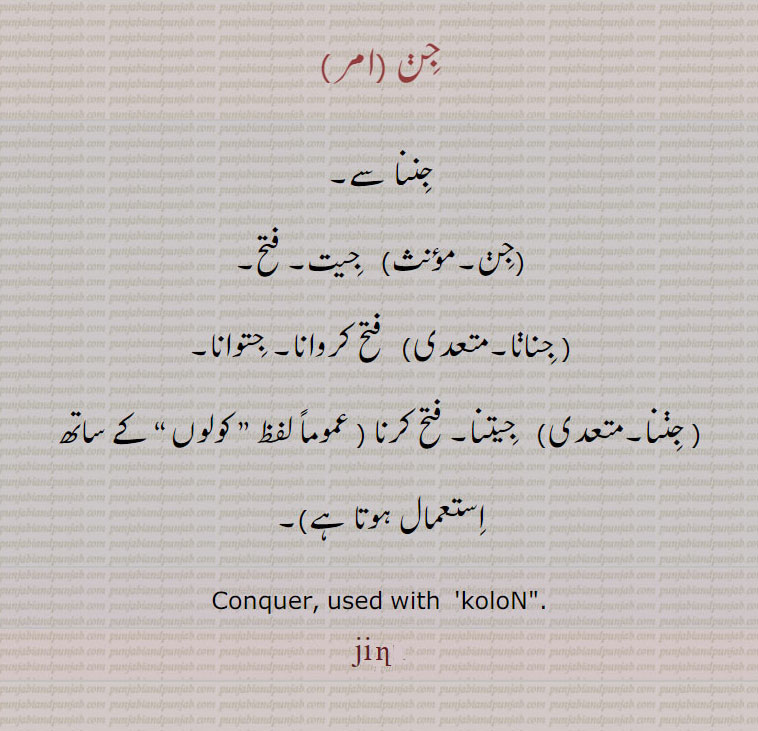  جن , jinn , ਜਿਣ,  جننا , جنانا, جِن