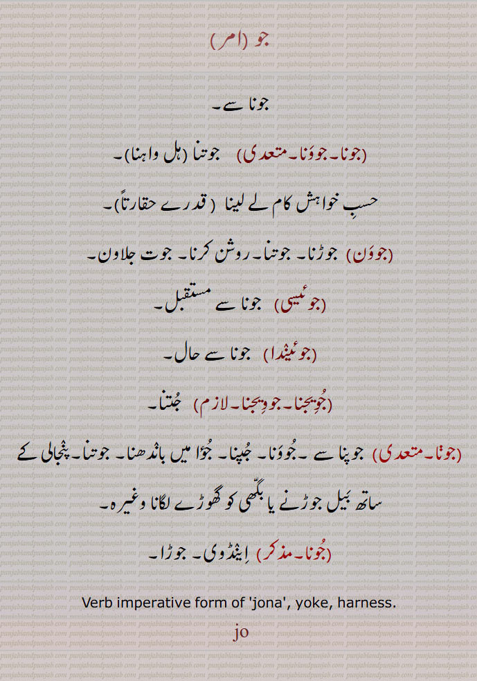  جو,جئے,جاو ,jo,jaao,جوون,,ਜੋ,ਜਾਓ,jowan, ਜੋਵਨ,,jana,جو, جوئے,جوئی,جاو,جاناں ,بیوی ,وہٹی,عورت, جورو, زوجہ, استری ,جونا ,جوونا,جوتنا ,جوئیسی,جوئیندا,جوویجنا,  جویجنا,