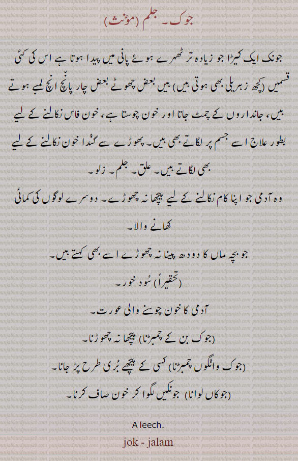  جوک, جونک,جلم,jok,ਜਲਮ,ਜੋਕ,leech, ,jalam,جوک بن کے چمبڑنا,جوک وانگوں چمبڑنا,جوکاں لوانا,