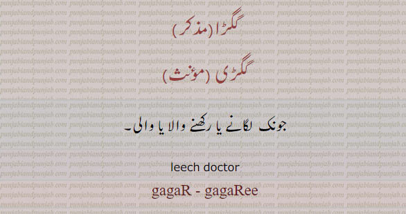 گگڑی,جونک,گگڑا  , gagar, gagaree, gagari,leech doctor,