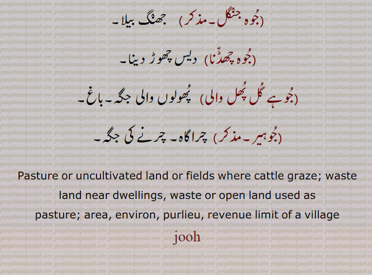  جوہ, جوہ جنگل, جوہ چھڈنا, جوہے گل پھل والی, جوہیر,جوع, جوہ پِڑ, جوہ جتن,، جوہ جنگل, جُوہے گُل پُھل والی,,ਜੂਹ ,jooh, pasture environ, area,