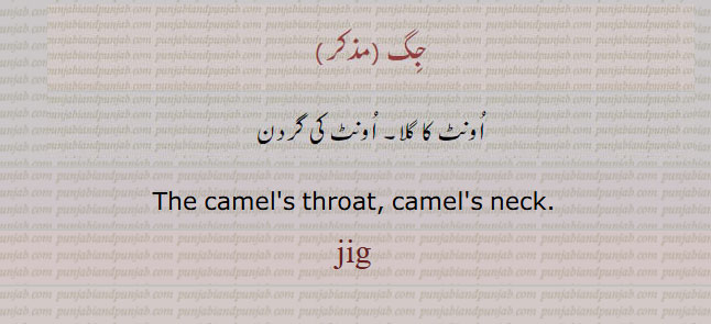 جگ,,jig, ਜਿਗ ,اونٹ کا گلا,اونٹ کی گردن,جِگ,