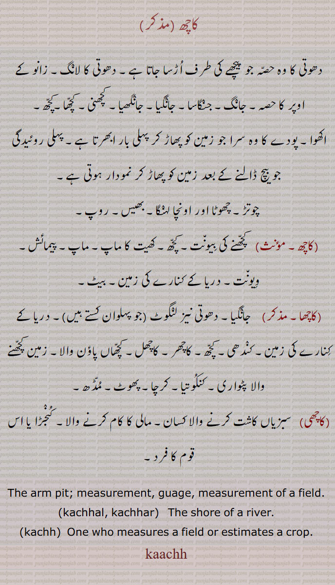 کچھ , کچھا,، ,  کاچھی, کاچھا کچھی,kachh,kachhi,kachha,kaachh,ਕਾਛ