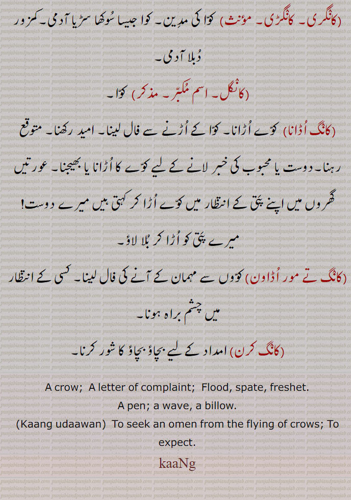 کاگ, کانگ ,کوا,,کانگل,کانگا,کانگاں, کانگوا,ہولڈر,طغیانی,بڑی چھل,ہلکورے,ہڑھ,کانگ لکھنا,کانگ اٹھنا,کانگ کرنا,کانگڑا,شکایت کی چٹھی,  ,کانگری,کانگڑی,کانگل,کانگ اڈانا,کانگ تے مور اڈاون,کانگ کرن,
ਕਾਗ, ਕਾਂਗ, kaag, kaang, kaak,crow, kaang udaawan ,  