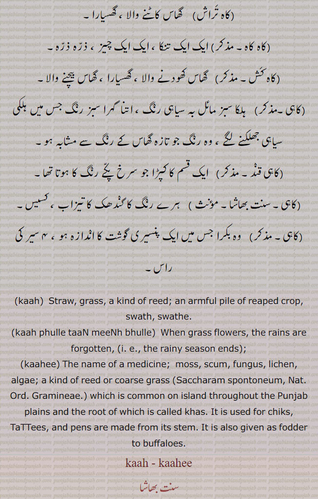 کاہ,کاہی,,kaah, ਕਾਹ, kaahee, ਕਾਹੀ ,خس و خاشاک۔گھاس۔ سرکڑا۔ بھوسہ۔ کاہ بان۔ کاہکر۔ کاہ رُبا۔ کاہ رُبانی۔کال فروش۔ کاہ کاہ۔ کاہ کش۔ کاہی۔ کاہی قند۔ پنسیری بکرا۔ کسیس۔ ہرے رنگ کا تیزاب۔ سرخ کپڑا۔ گھسیارا۔ ایک ایک تنکا۔کشش ۔, aah, ਕਹ,Straw, grass, a kind of reed, 