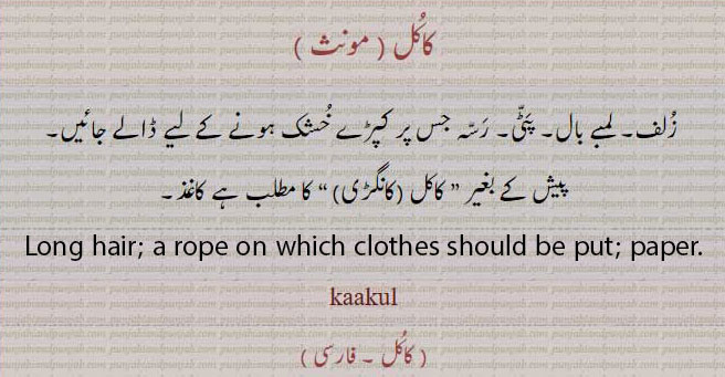 کاکل,kaakul,ਕਾਕੁਲ,زلف,کاغذ,لمبے بال