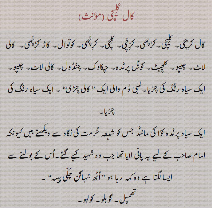  کال کلیچی , کال کرِیچی, کلیچی,کڑچھی,کڑچی, کلچی, کرچھی,کوتوالی, کوتوال,کاڑ کڑچھی,  کالی لاٹ, چیپو, کلچیٹ, کوئل پرنٛدہ, چکاوک, چنڈول, کالی لاٹ, چیپو,ایک سیاہ رنگ کی چڑیا,لمبی دم والی ایک ” کالی چڑی , ایک سیاہ رنگ کی چڑیا, اٹھ سہاگن چکی پیہہ,Kaal kalichi, kal karchhi, kaal kareechi, kaal karichi,kaal kaRchhi, Kal kalachi,  thampal, kotwal, Kosita, Kalo koshi, Kari bhujanga, the black drongo ,Dicrurus macrocercus, small Asian passerine bird,A bird which is revered by Shia,uTTh sohaagan chakki pih,Get up house wife and grind corn, Buchanga , Bhujanga.,srigunting hitam, Thampal, Gohalo,Kolaho,Kalkalachi, Kotwal ,Finge , Finga,kaal kaleechi,  