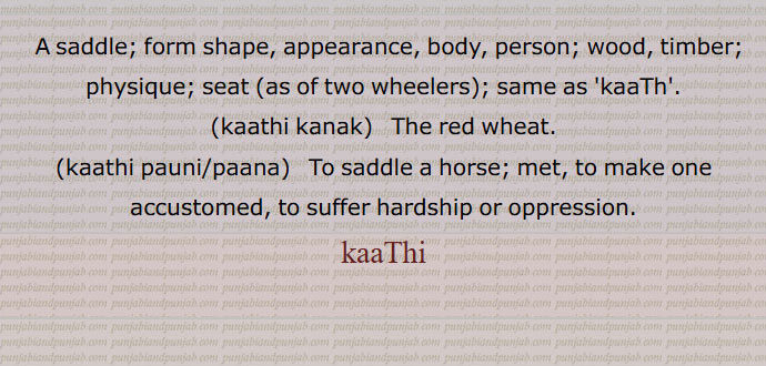  کاٹھی  ,kaathi, ਕਾਠੀ, ਕਾਠ,کاٹھی ,ایندھن, لکڑی,عمارتی لکڑی, سوٹی, چھڑی, پتلا ڈنڈا, زین , تلوار کی نیام چوبی, لکڑی کی میان,کتاب کی جلد, سائیکل کی گدی,کاٹھی بنھنا,کاٹھی پانا,کاٹھی خالی کرنا,تھاں ویلھی کرنا,کاٹھی دَھرنا,کاٹھی کسنا,کاٹھی سجانا,کاٹھی گر,کاٹھی ونڈ,کاٹھی کنک,کاٹھی درخت, A saddle,kaathi kanak, The red wheat,kaathi pauni/paana,kaaThi,  