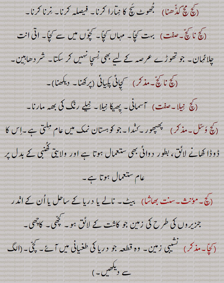  کچ, کچ بچ, کچ بھنا, کچ پاچا,کچ پچ, کچ پک,کچ پکا,کچ پنا, کچ پیندن,کچ پیندی,کچ پیندیا, کچ تل ,کچ خام,کچ درڑ,کچ دلی,کچ دھات,کچ دھاگا,کچرا,کچکڑا,کچ کرنا,کچرادھ,  کچ گھرڑ,کچرادھا,کچروٹ,کچری,کچڑا۔کچڑا,کچ سچ,کچ سچ کڈھنا,کچ کچ,کچکرا,کچ کرنا,کچ کرور,کچکڑا,کچ کوڈی,کچ کیلا,کچ گھرڑ ,کچ گھولنا ,کچ لوہا,کچ لہو,کچ مارنا,کچ مچ کڈھنا,کچ نا کچ,کچ نا کچ,کچ  نِیلا,کچ وسل,کچا, کچی,
Glass, rawness,kachch bachch,kachch lahoo,kachch pakk,kachcha,kachchi,kach wassal,kach, ਕਚ,kachch, ਕੱਚ , 