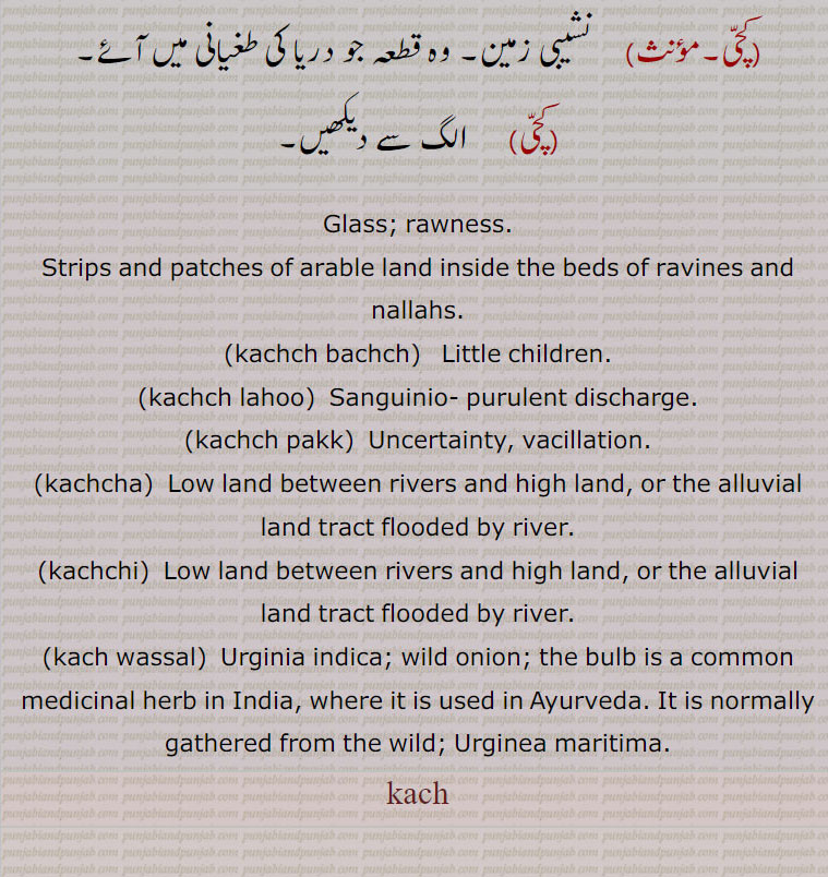  کچ, کچ بچ, کچ بھنا, کچ پاچا,کچ پچ, کچ پک,کچ پکا,کچ پنا, کچ پیندن,کچ پیندی,کچ پیندیا, کچ تل ,کچ خام,کچ درڑ,کچ دلی,کچ دھات,کچ دھاگا,کچرا,کچکڑا,کچ کرنا,کچرادھ,  کچ گھرڑ,کچرادھا,کچروٹ,کچری,کچڑا۔کچڑا,کچ سچ,کچ سچ کڈھنا,کچ کچ,کچکرا,کچ کرنا,کچ کرور,کچکڑا,کچ کوڈی,کچ کیلا,کچ گھرڑ ,کچ گھولنا ,کچ لوہا,کچ لہو,کچ مارنا,کچ مچ کڈھنا,کچ نا کچ,کچ نا کچ,کچ  نِیلا,کچ وسل,کچا, کچی,
Glass, rawness,kachch bachch,kachch lahoo,kachch pakk,kachcha,kachchi,kach wassal,kach, ਕਚ,kachch, ਕੱਚ , 
