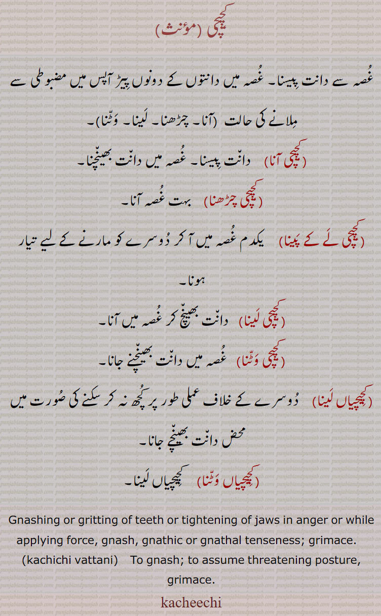   کچیچی, ,کچِیچی آنا,کچِیچی چڑھنا,کچِیچی لے کے پینا,کچِیچی لینا,کچِیچی وٹنا,کچِیچیاں لینا,کچِیچیاں وٹنا,,kacheechi, ਕਚੀਚੀ, kachichi vattani,ਕਚੀਚੀ ਵੱਟਣੀ,