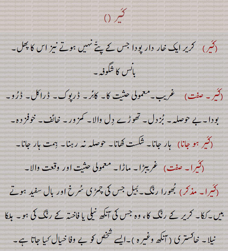 ,Capparis aphylla,
کیر,کَیر ہو جانا,کَیرا,کَیری,کَیری اَکھے ویکھنا,kairi akh dekkhna, ਕੈਰੀ ਅੱਖ ਦੇਖਣਾ, kaira, ਕੈਰਾ, kair,ਕੈਰ,  