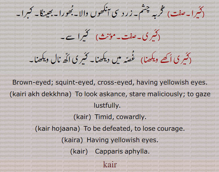 ,Capparis aphylla,
کیر,کَیر ہو جانا,کَیرا,کَیری,کَیری اَکھے ویکھنا,kairi akh dekkhna, ਕੈਰੀ ਅੱਖ ਦੇਖਣਾ, kaira, ਕੈਰਾ, kair,ਕੈਰ,  
