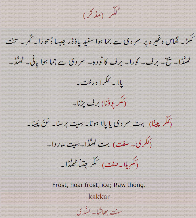 ککر, ککری,کیکر, ککڑ, ਕੁੱਕਡ਼, ਕੁੱਕੁਡ਼, ਕੂਕਰ, ਕੀਕਰ ,ਕਿਕਰ, ਕਿੱਕਰ ,ਤਮਾਕੂ,ਕੱਕਰ,ਕਿੱਕਡ਼ਸਿੰਗੀ,ککر پوؤنا,ککر پینا,ککرِیلا,کیکر, ببول,ککر دی گوند,ککر پہاڑی,ککر سفید,ککر ولائتی,ککرانڈھا, کیکر, کیویں, کیکروں,شندَے گل,ککر کھانسی,کچا پدارتھ, kakkar, kukkar, kokkur, kookkar, kookari, kookar, kukar, keekar, Kikkir,Kikkri, tamaakoo, kikkar, kikari, kikkar, kikar, kikkarsingi,  کَکّر