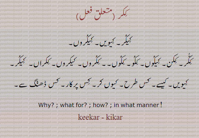 keekar, kikar, why, how, what,ککر,کیکر,کیویں,کیکروں,ککن,کیکوں,کیکروں,کیسے,کس پرکار,کس طرح,کس کر, ککو,, ਕੀਕਰ ,kikar, ਕਿਕਰ