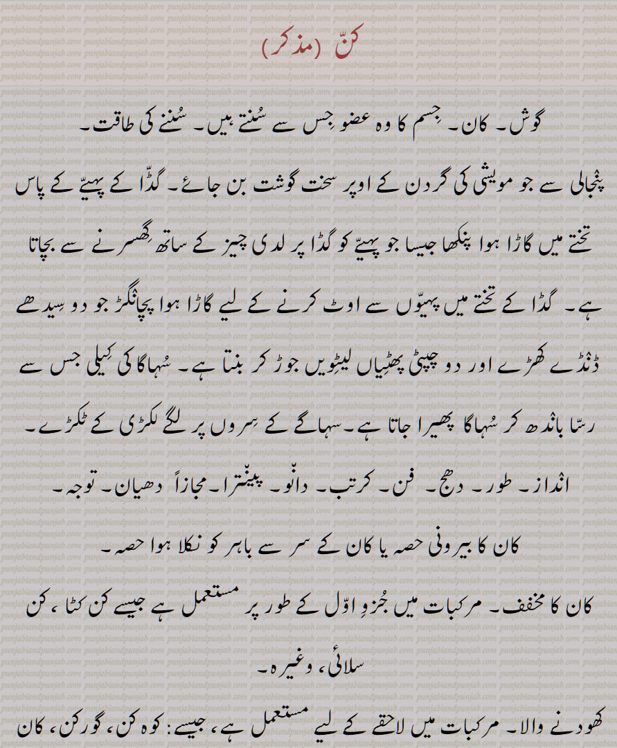 کن, کنّ, گوش, کان, جسم کا وہ عضو جس سے سنتے ہیں, سننے کی طاقت,پنجالی سے جو مویشی کی گردن کے اوپر سخت گوشت بن جائے, گڈا کے پہیے کے پاس تختے میں گاڑا ہوا پنکھا جیسا جو پہیے کو گڈا پر لدی چیز کے ساتھ گھسرنے سے بچاتا ہے,  گڈا کے تختے میں پہیوں سے اوٹ کرنے کے لیے گاڑا ہوا پچانگڑ جو دو سیدھے ڈنڈے کھڑے اور دو چپٹی پھٹیاں لیٹویں جوڑ کر بنتا ہے, سہاگا کی کیلی جس سے رسا باندھ کر سہاگا  پھیرا جاتا ہے,سہاگے کے سروں پر لگے لکڑی کے ٹکڑے,
انداز, طور, دھج,  فن, کرتب, دانو, پینترا,مجازاً  دھیان, توجہ,کان کا بیرونی حصہ یا کان کے سر سے باہر کو نکلا ہوا حصہ,کان کا مخفف, مرکبات میں جزو اول کے طور پر مستعمل ہے جیسے کن کٹا ، کن سلائی، وغیرہ,کھودنے والا, مرکبات میں لاحقے کے لیے مستعمل ہے، جیسے: کوہ کن، گورکن، کان کن وغیرہ,