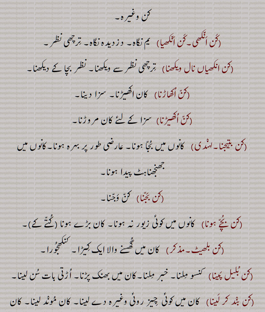 کن انکھی,کن انکھیا,کن انکھیاں نال ویکھنا,کن اکھاڑنا,کن اکھیڑنا,کن بتیجنا,کن بجنا,کن بچے ہونا,کن بلھیٹ,کن بلیل پینا,کن بند کر لینا,