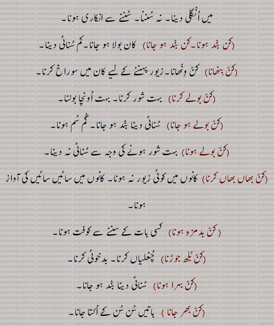   کن بند ہونا,کن بند ہو جانا,کن بنھانا,کن بولے کرنا,کن بولے ہو جانا,کن بولے ہونا,کن بھاں بھاں کرنا, کن بدمزہ ہونا,,کن بلھ جوڑنا,کن بہرا ہونا,کن بھر جانا,