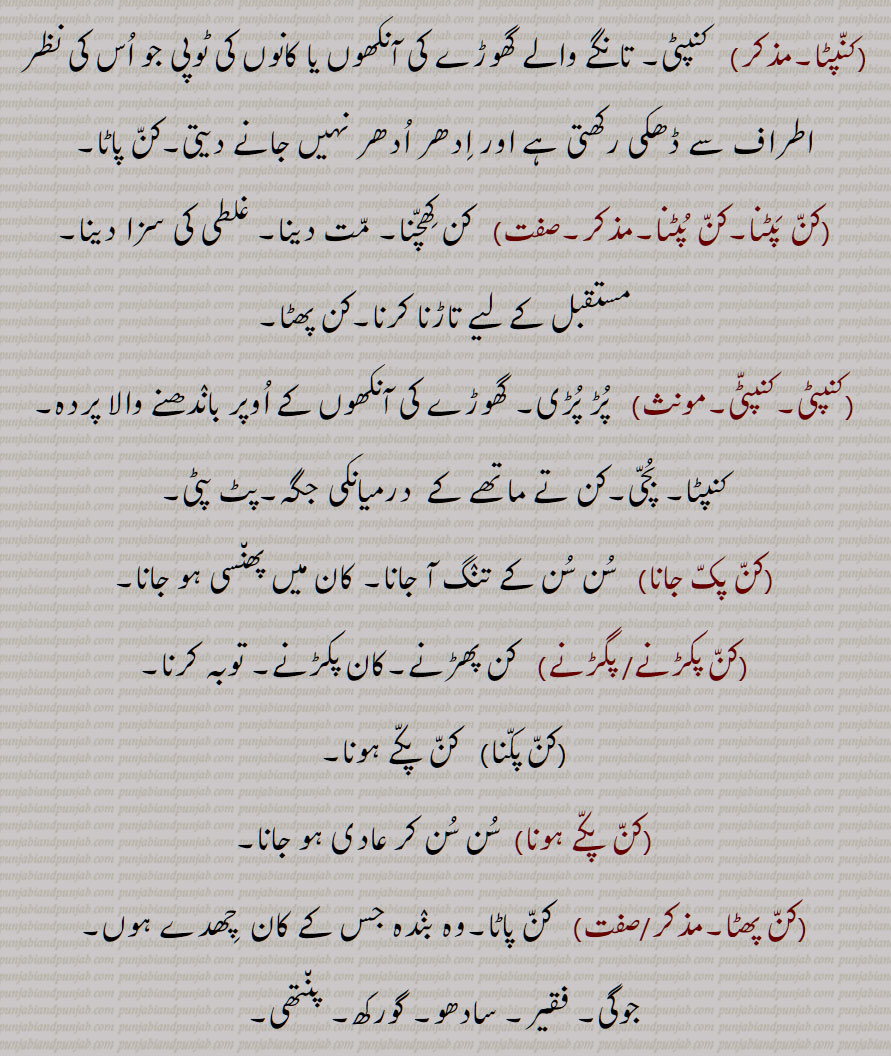 ,کنپٹا,کن پٹنا,کن پٹنا,کنپٹی,کنپٹی,کن پک جانا,کن پکڑنے/ پگڑنے,کن پکنا,کن پکے ہونا,کن پھٹا,