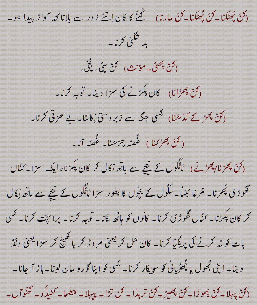 کن پھٹکنا,کن پھٹکنا,کن مارنا,کن پھٹی,کن پھڑانا,کن پھڑ کے کڈھنا, کن پھڑکنا,کن پھڑنا/پھڑنے,کن پہلا,کن پھوڑا,کن پھیڑ,کن تریڈا, کن تڑا, پیہلا, پیلھا, کنیڈو, گھنوآں,