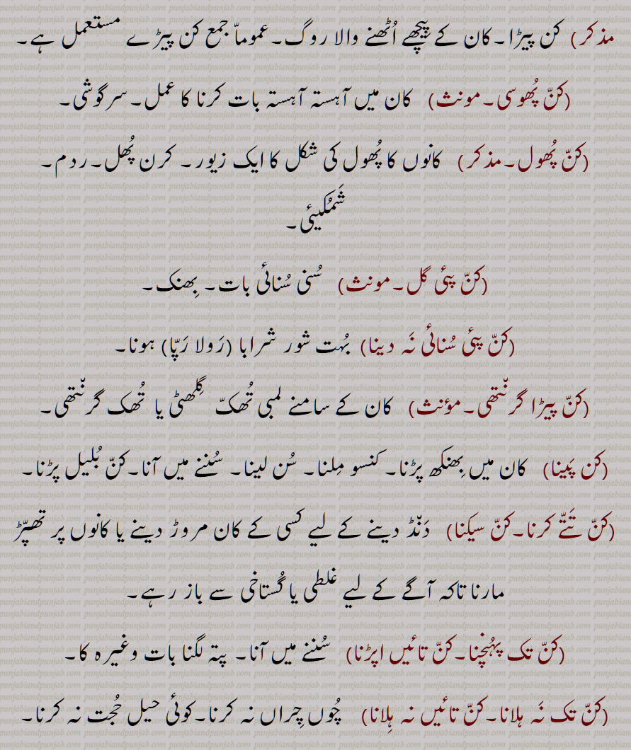کن پھوسی,کن پھول,,کن پئی گل,کن پئی سنائی نہ دینا,کن پیڑا گرنتھی,کن پینا,کن تتے کرنا,کن سیکنا,کن تک پہنچنا,کن تائیں اپڑن, کن تک نہ ہلانا,کن تائیں نہ ہلان