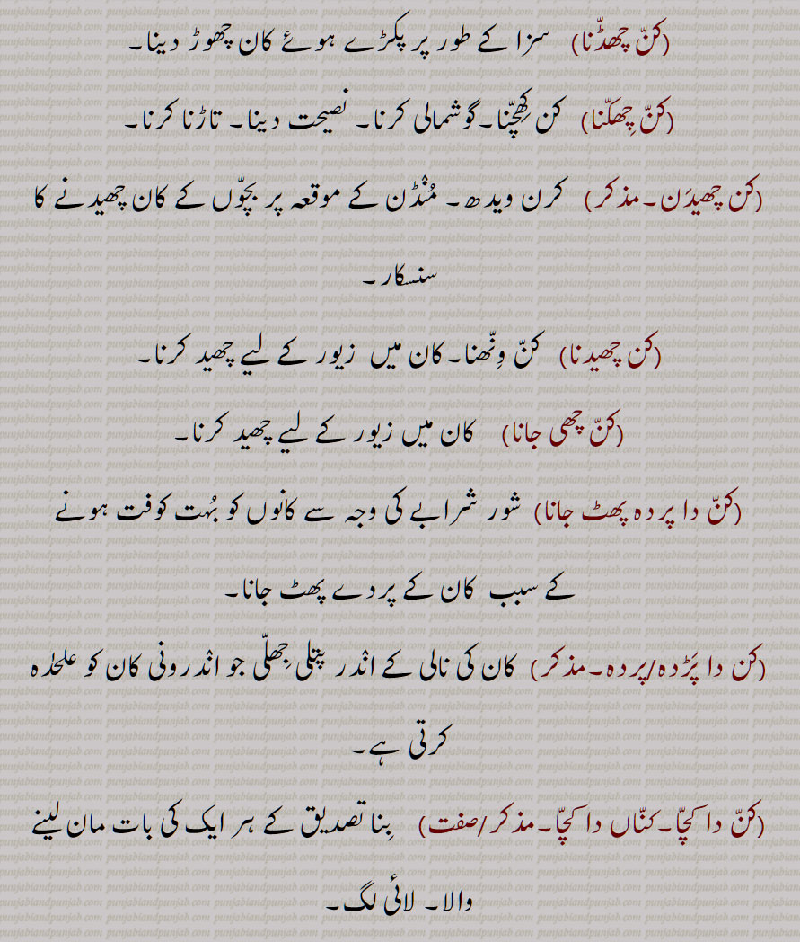 کن چھڈنا,کن چھکنا,کن چھیدن,کن چھیدنا,کن چھی جانا,کن دا پردہ پھٹ جانا,کن دا پڑدہ/پردہ,کن دا کچا,کناں دا کچا, 