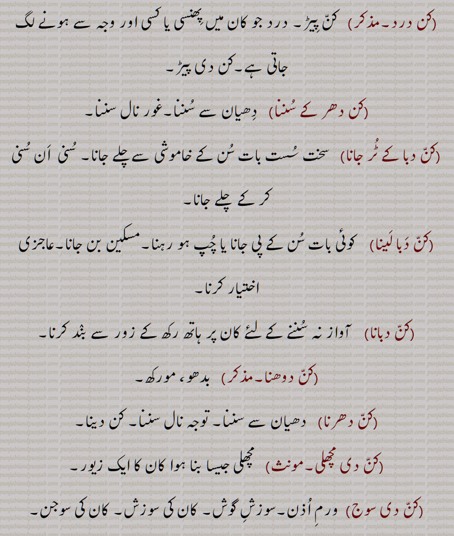 کن درد,کن دھر کے سننا,کن دبا کے ٹر جانا,کن دبا لینا,کن دبانا,کن دوھنا,کن دھرنا,کن دی مچھلی,,کن دی سوج, 