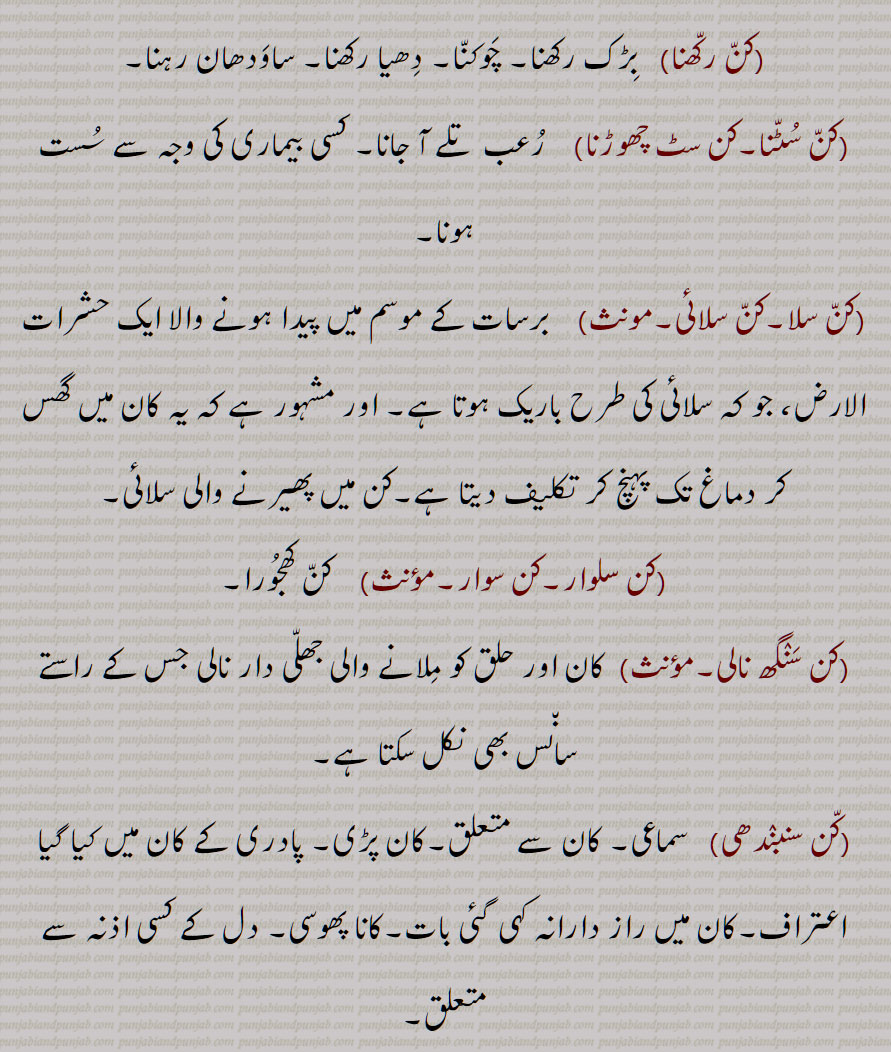 ,کن رکھنا,کن سٹنا,کن سٹ چھوڑنا,کن سلا,کن سلائی,مونث,کن سلوار,کن سوار,کن سنگھ نالی,کن سنبندھی,