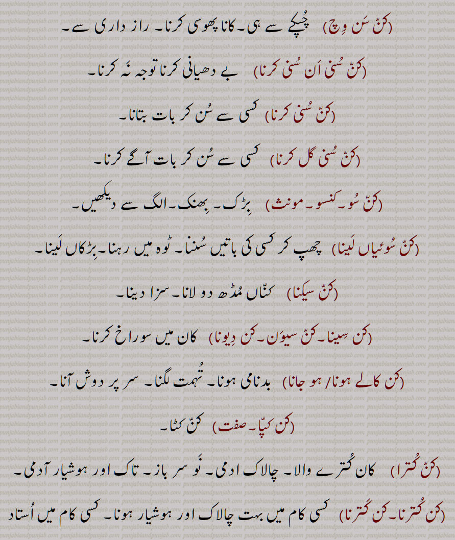 کن سن وچ,کن سنی ان سنی کرنا,کن سنی کرنا,,کن سنی گل کرنا,کن سو,کنسو,کن سوئیاں لینا,کن سیکنا,کن سینا,کن سیون,کن دیونا,کن کالے ہونا/ ہو جانا,,کن کپا,کن کترا,کن کترنا,کن کترنا, 