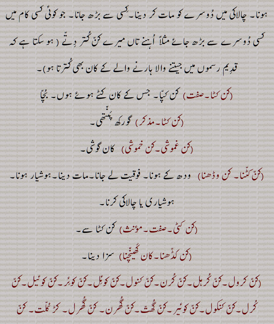 کن کٹا,کن کٹا,کن غموشی,کن خموشی,کن کٹنا, کن وڈھنا,کن کٹی,کن کڈھنا,کان کھینچنا,کن کرول,کن کرہل,کن کرن,کن کنول,کن کوئل,کن کوئر,کن کوئیل,کن کرل,کن کنکول,کن کوئیر,کن گھت,کن گھرن, کن گھرل, کڑ کلت, کن بلھیٹ